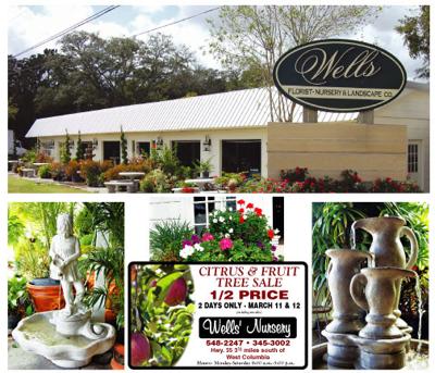 Wells Florist Nursery And Landscape Company Focus Wells Florist Nursery And Landscape Company Focus