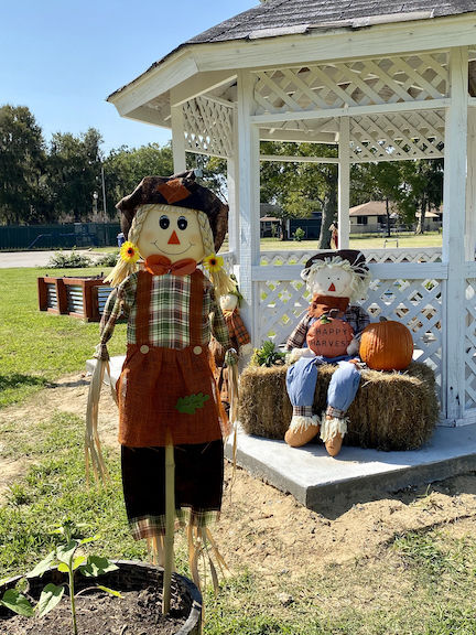 Richwood pumpkins