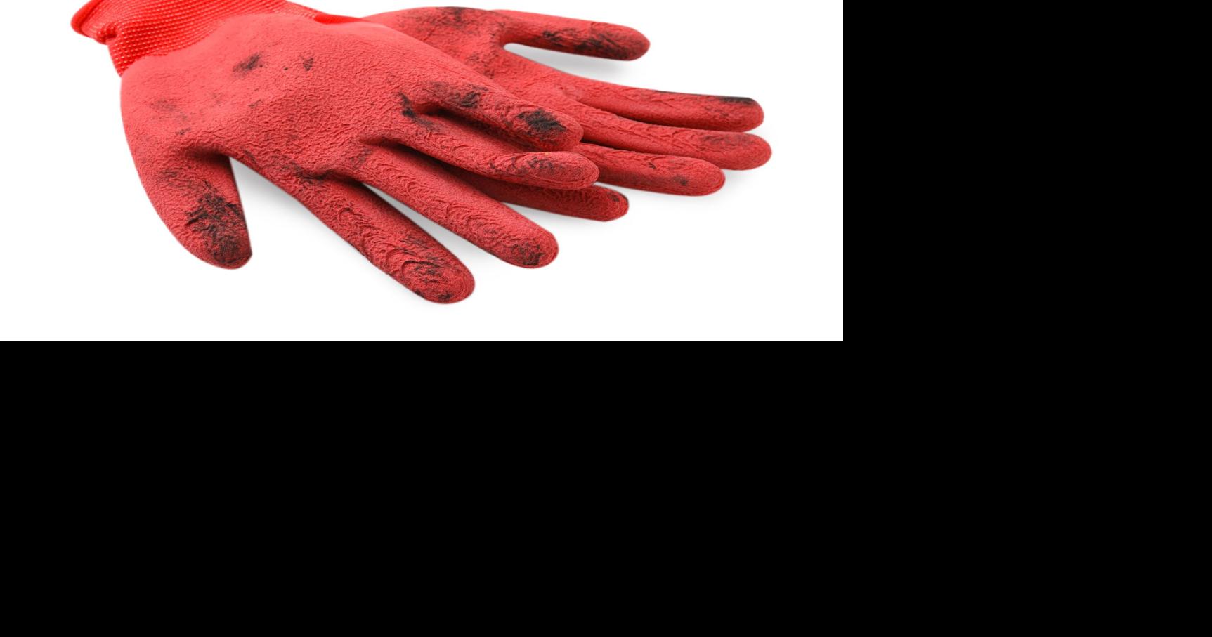 PATTI BLUDAU: Booth’s gardening chore comes with stinging surprise | Brazos Living