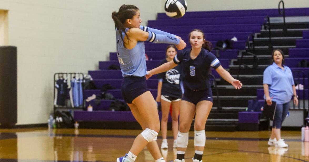 Sweeny's Forshee, Angleton's Gardner headline area volleyball talent in the area Ten area volleyball performers to watch for this season By TED DUNNAM Ted.Dunnam@thefacts.com Aug 7, 2026 1 min ago