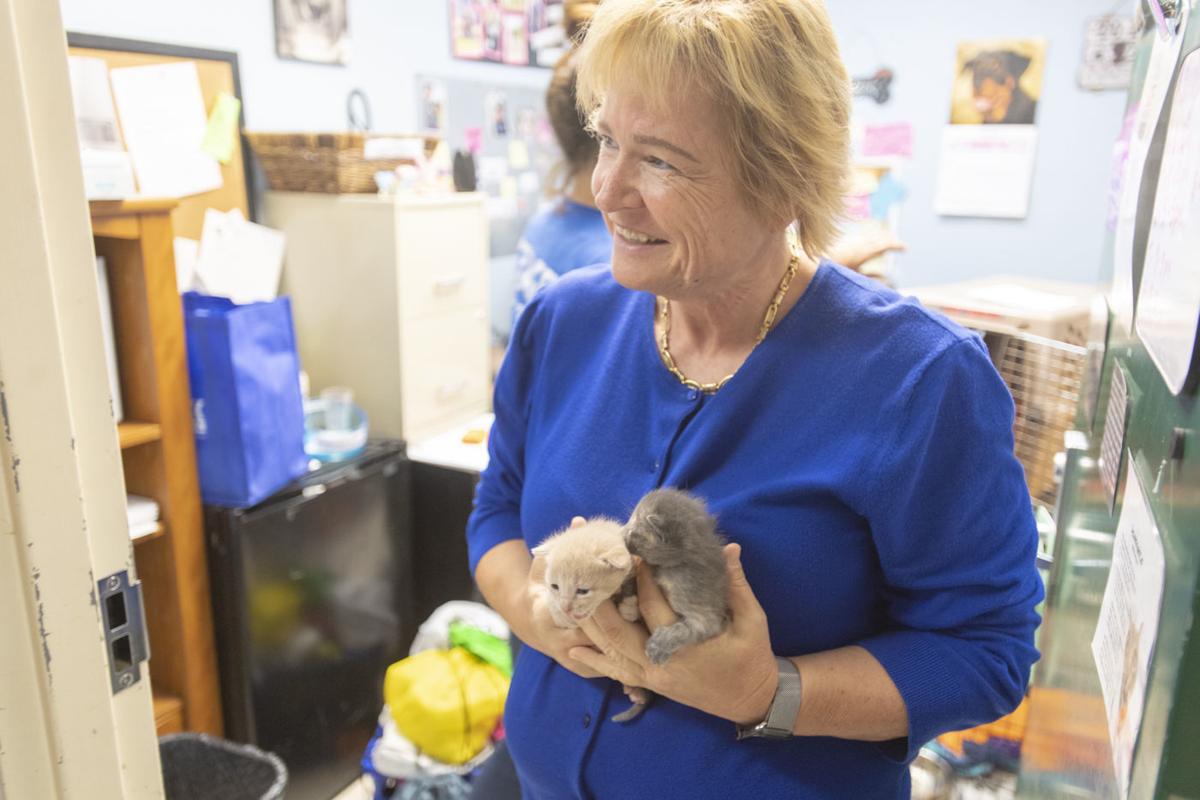 Spca Proposes Trap Neuter And Return Program For Cats Free Share Thefacts Com