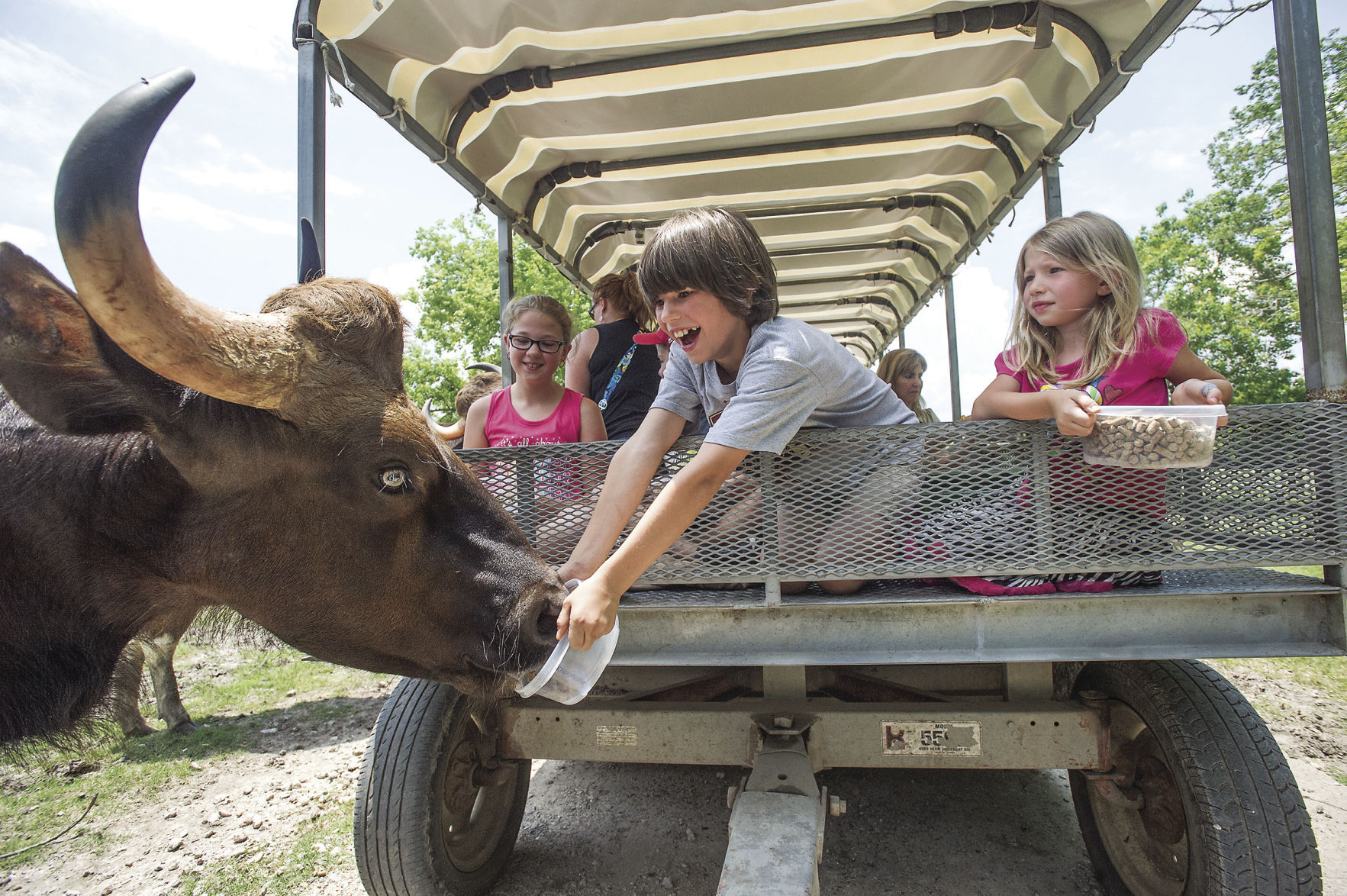 Bayou Wildlife Zoo, With Its 500-plus Animals On 86 Acres, Is For Sale ...