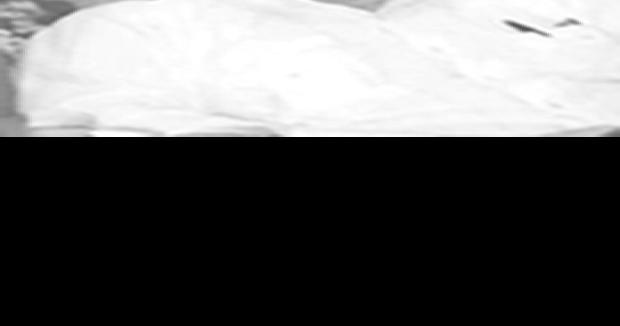 Gary Lynn Stroud | Obituaries 