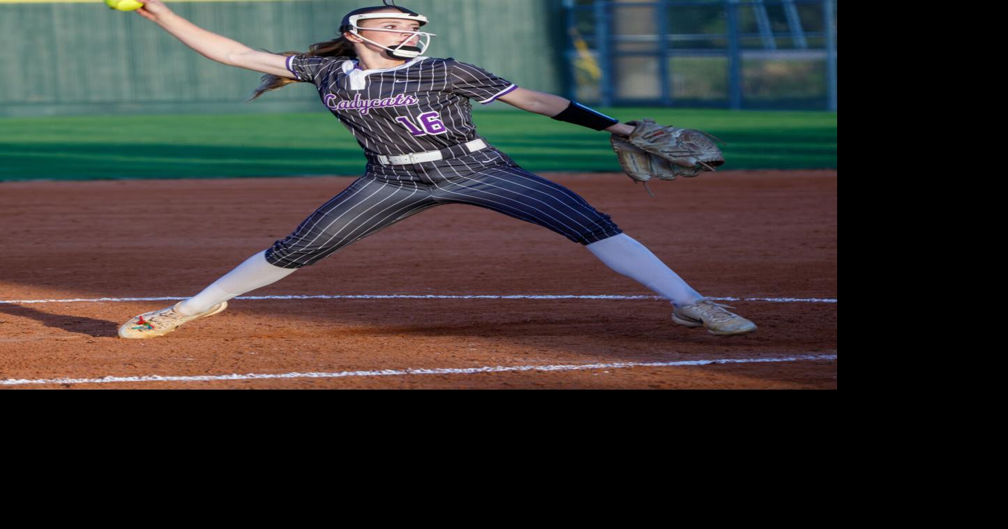 AREA ROUNDUP: Angleton baseball, Brazoswood softball capture key wins ...