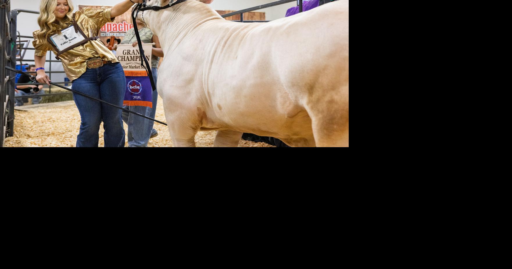 Angleton freshman’s steer brings home $30,000 top bid