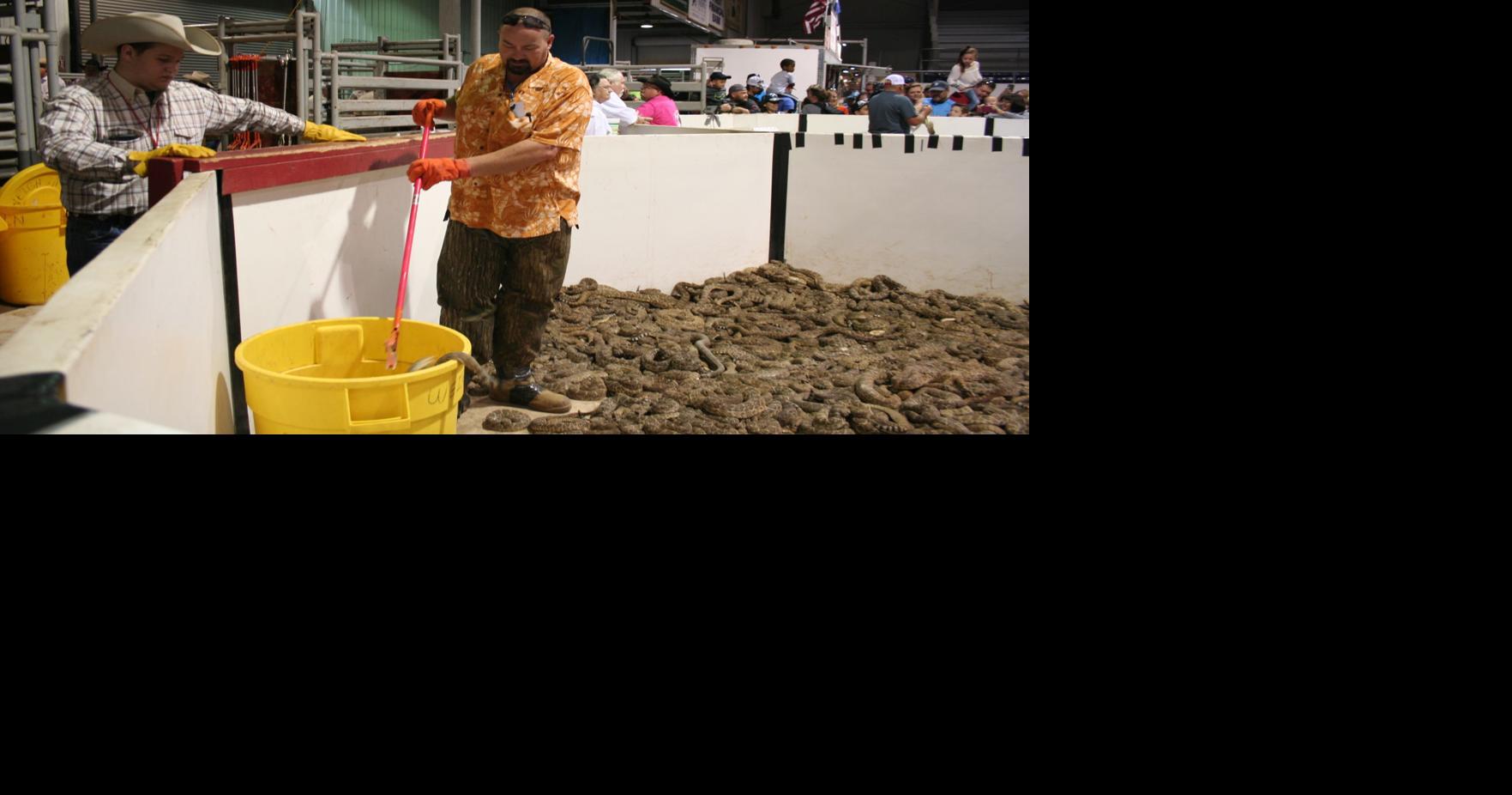 Rattlesnake Roundup draws thousands to small Texas town | Brazos Living ...