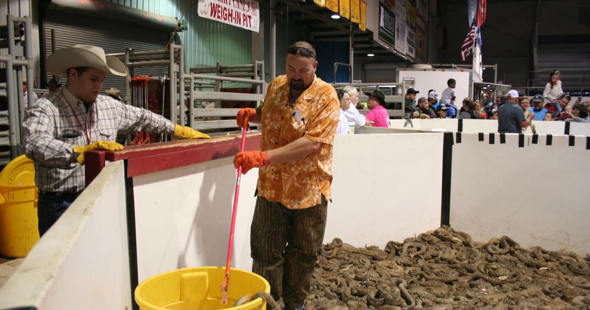 Tx Rattlesnake Rally Rattlesnake Roundup draws thousands to small Texas town | Brazos Living ...