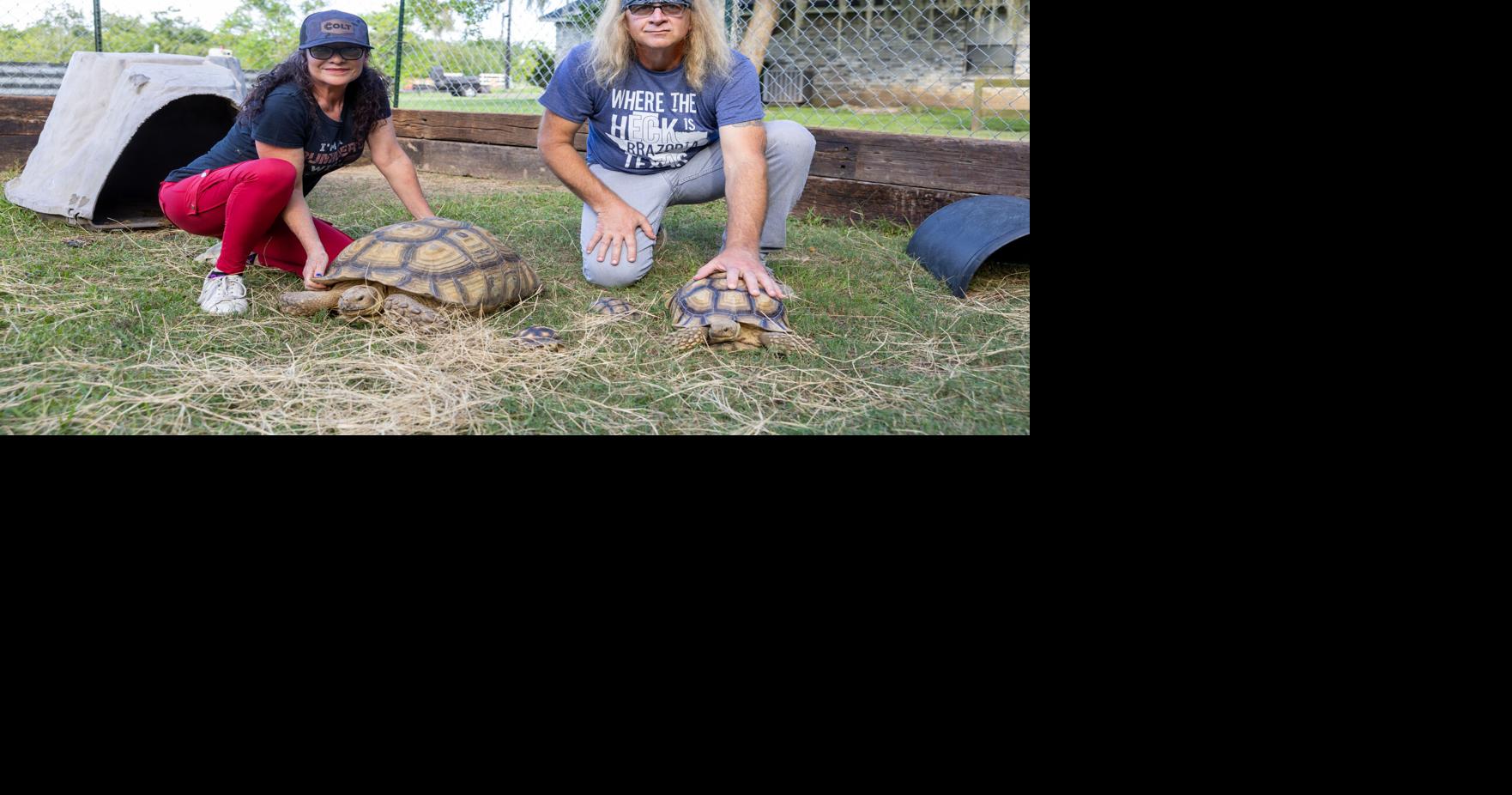 Brazoria family homes Jurassic Giants LINDSEY KINANE Special to The Facts Jul 29, 2025 1 min ago