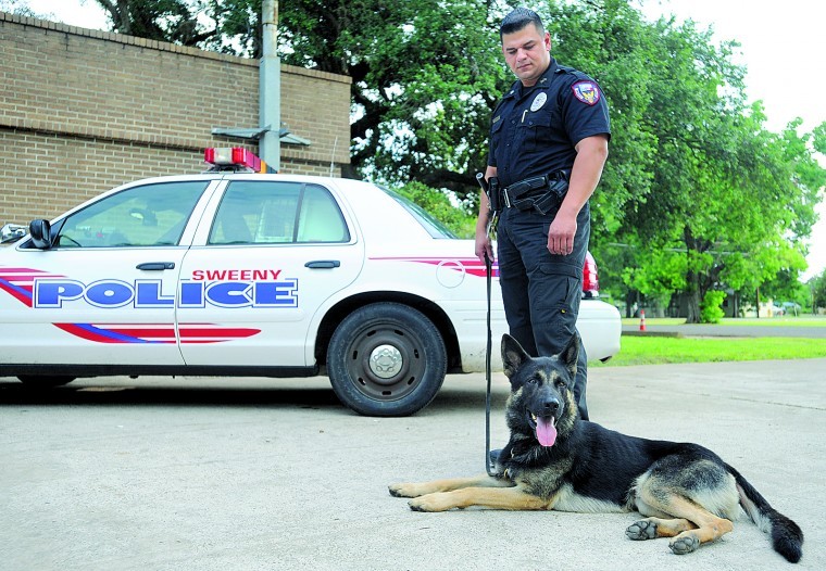 SNOOP DOG Sweeny police new K9 officer after more than a