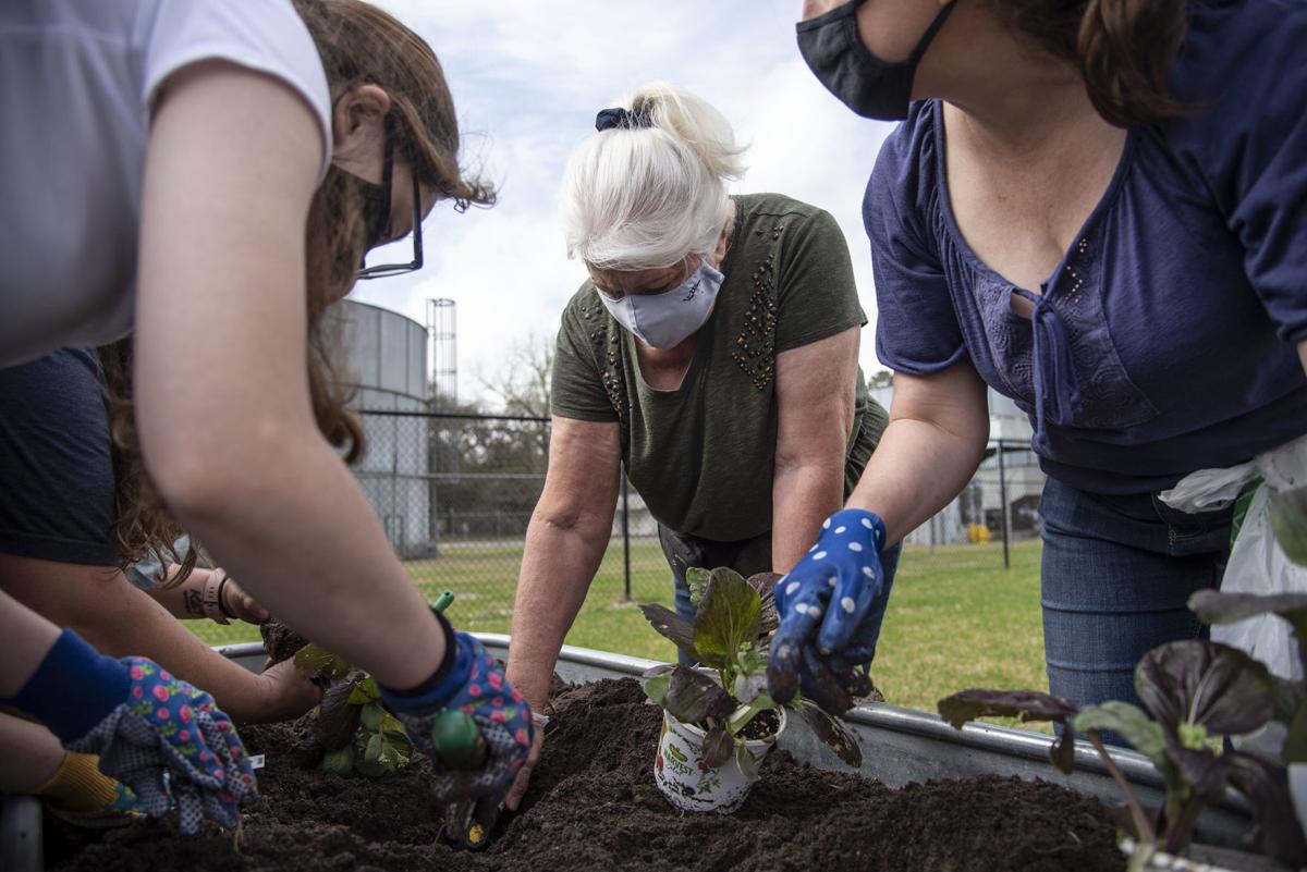 Community Spring Planting Day