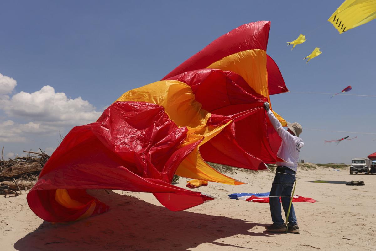 Kites Take Flight News