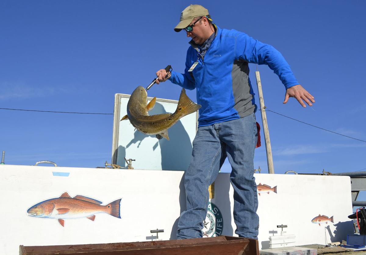 Dow's canals a legendary fishing spot for a lucky few News