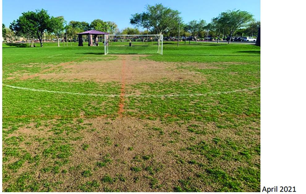 Council looks at Anthem parks