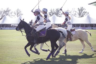 polo.jpg