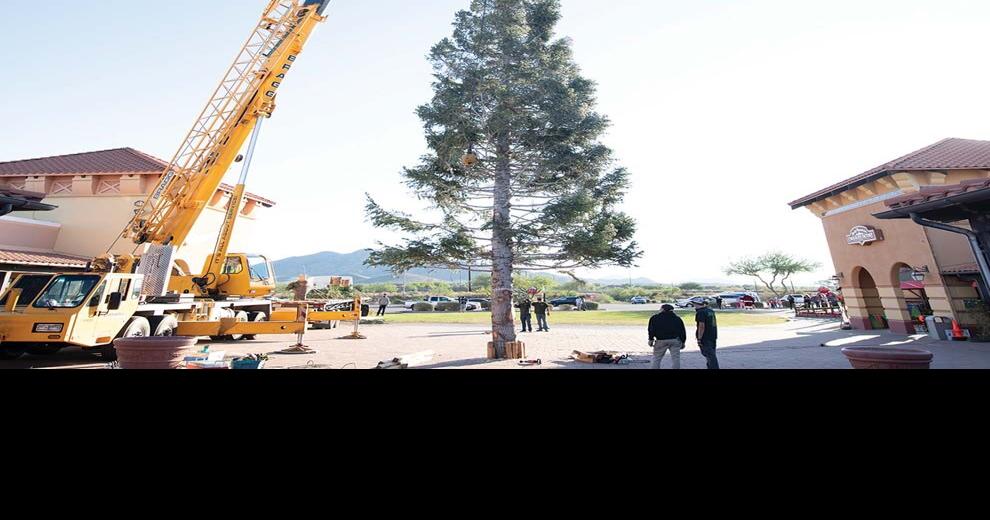 Tallest Christmas Tree in Arizona arrives Nov. 4 City News