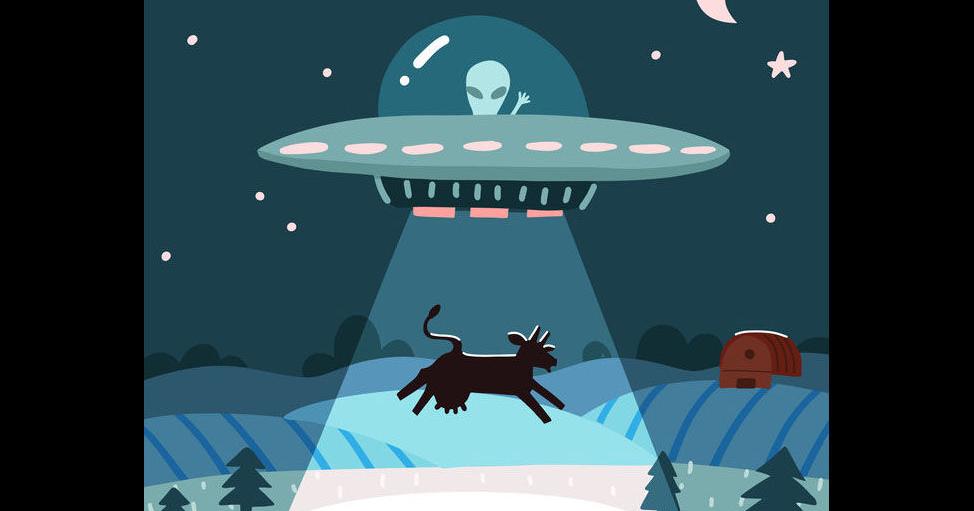 UFO with alien abducting a cow, summer night farm landscape with the night  field with house. Flat vector illustration with stars and moon in the sky.  Cartoon style | 