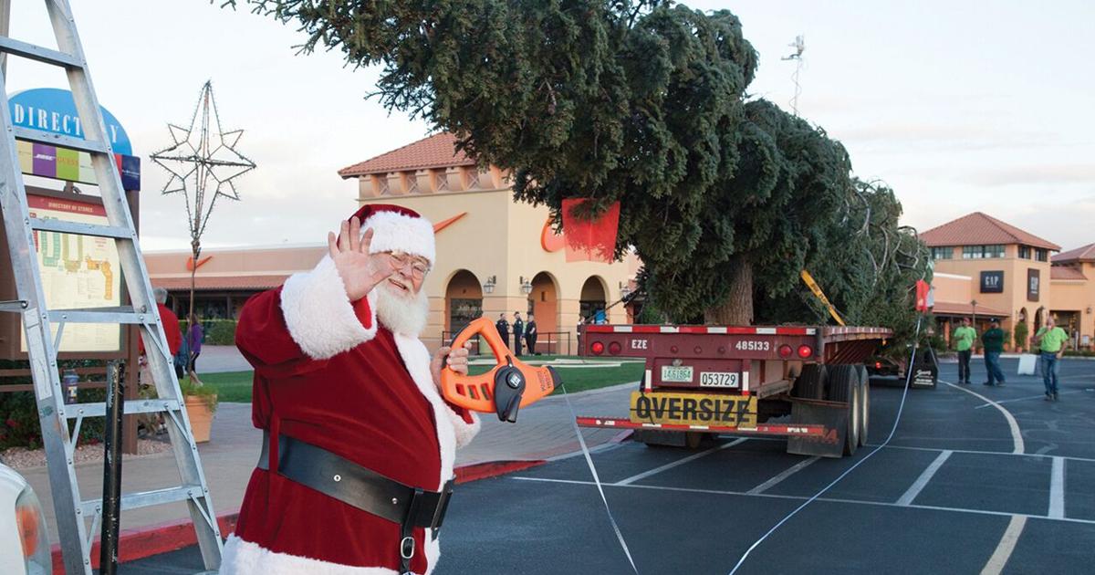 State’s tallest Christmas tree to arrive in North Phoenix | News