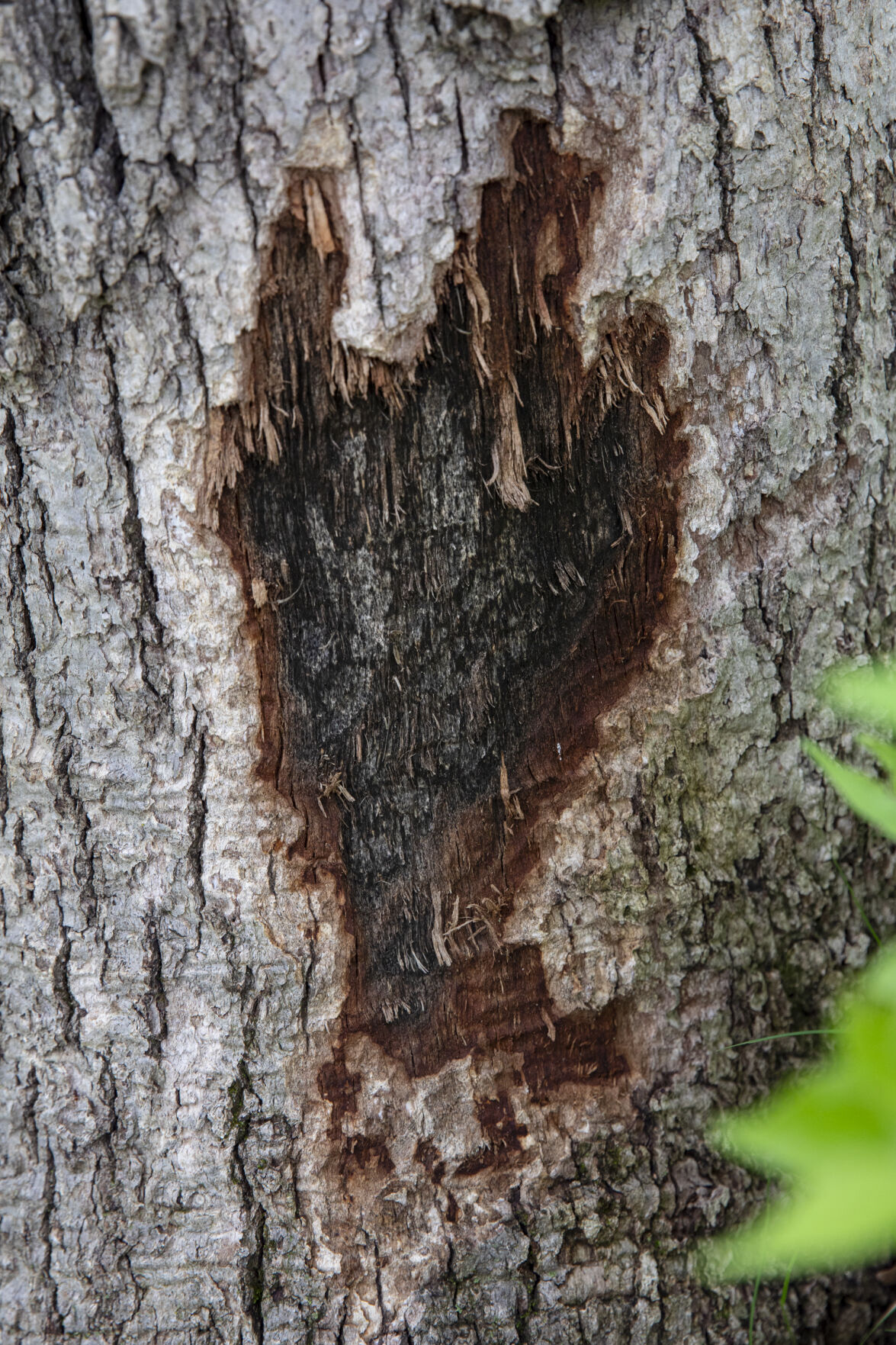 label: News Track | Catching up on an earlier story | Environmental ...