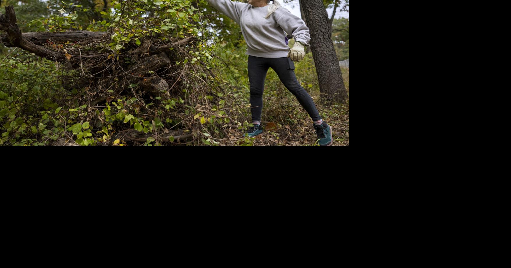 Photos: Two against many in effort to remove invasive species | Gazette ...