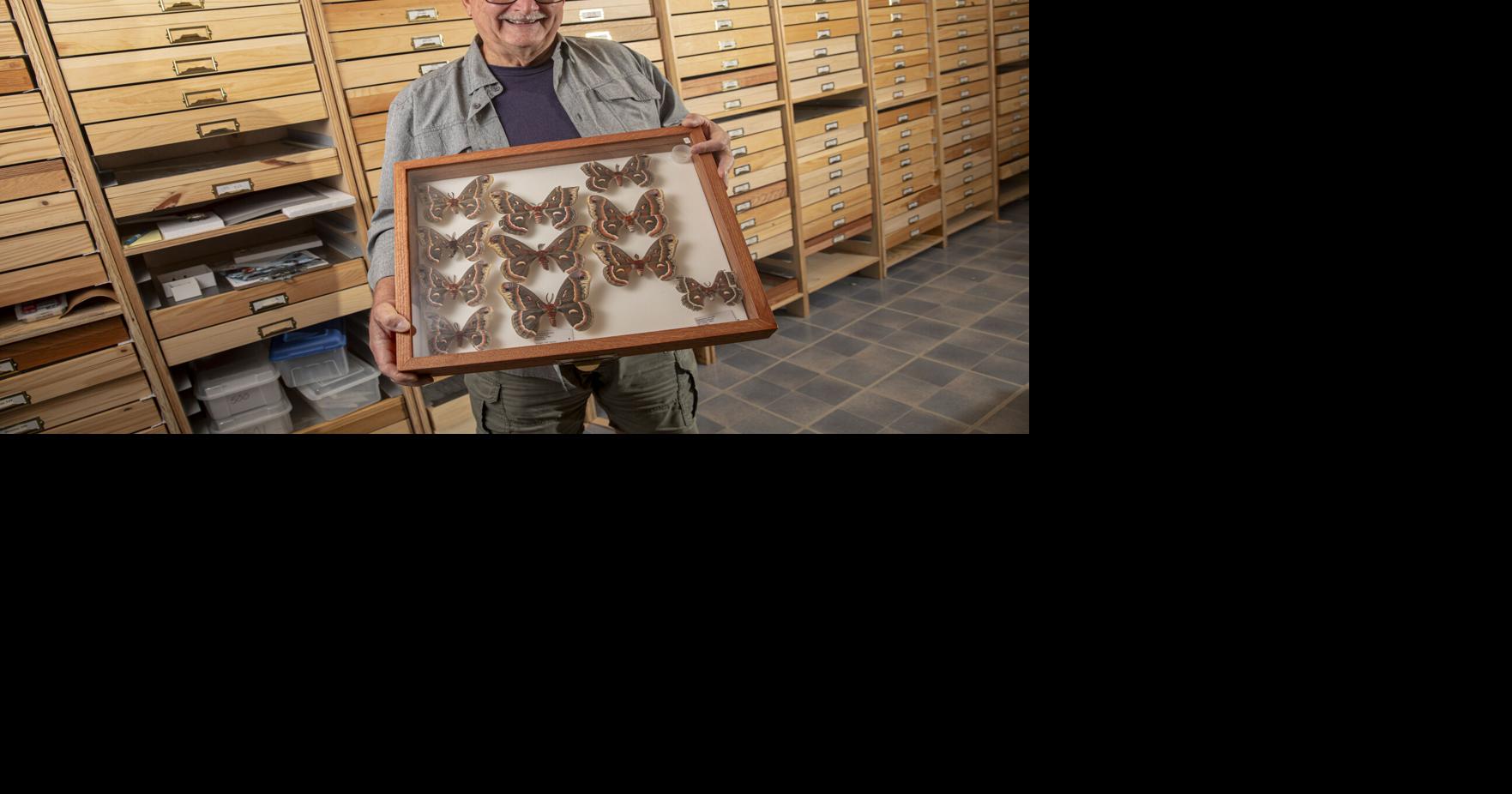 Marion man has documented thousands of insect species across Iowa. Here ...