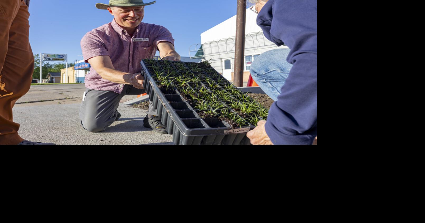 Gardening doesn’t have to be difficult. Try these 2 options.
