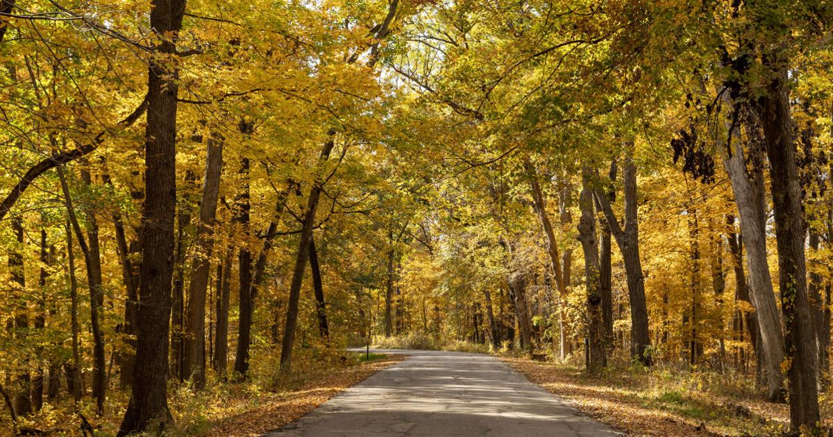 Photos: Fall festival of color