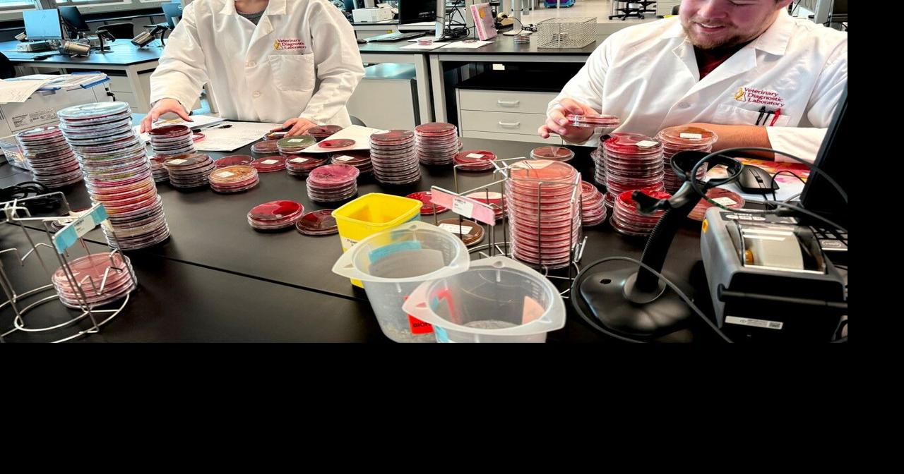 News Track: New Iowa State Veterinary Diagnostic Lab enters second ...