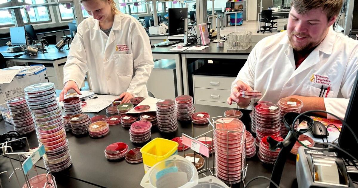 Iowa State Statslab News Track: New Iowa State Veterinary Diagnostic Lab enters second ...