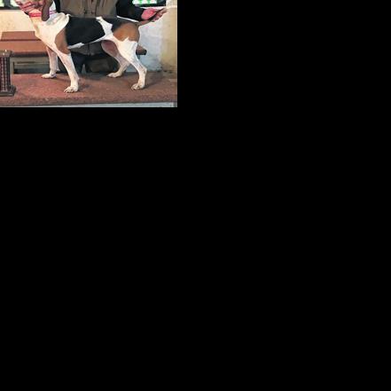 Brian Eldon Raymond Fowler | Obituaries | thegazette.com