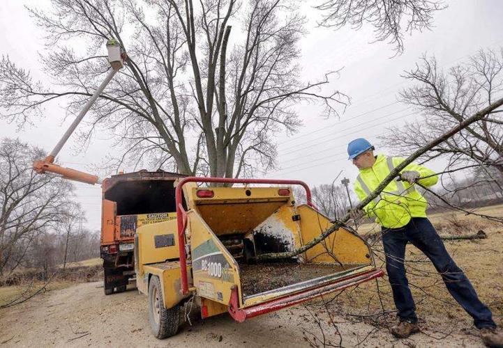 Christopher Railsback Marion trains staff, gardeners to prepare for emerald ash borer ...
