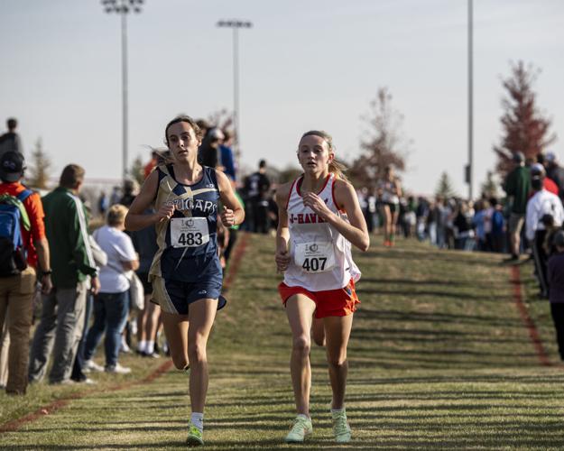 Photos: Iowa Class 2A state cross country qualifier at Monticello ...