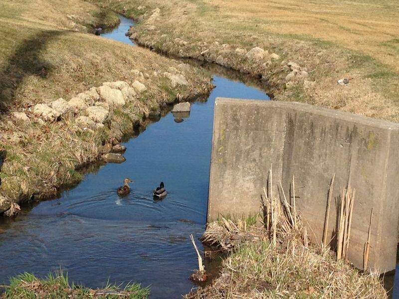 Fact Checker: Did Blum block clean water rules? | Political News ...