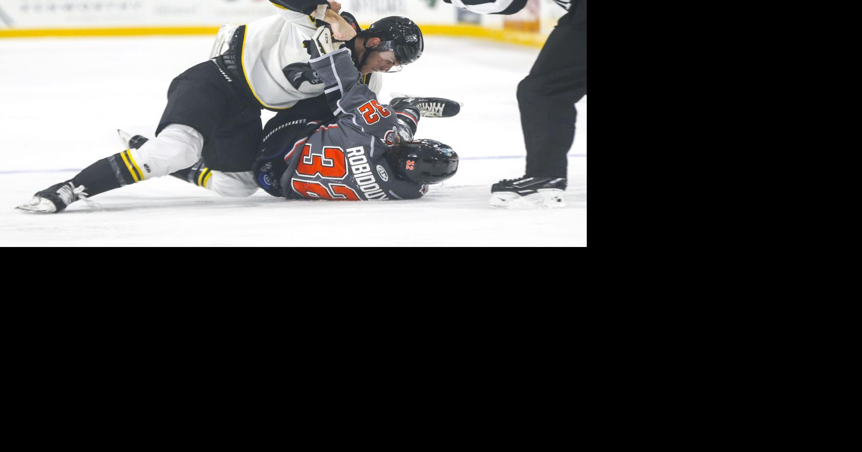 Corridor Cross-Checks: Updates on Cedar Rapids RoughRiders, Iowa ...