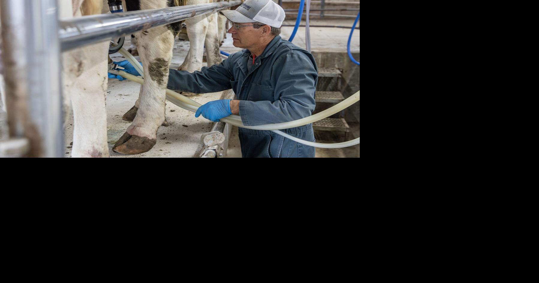 Got (raw) milk? These Eastern Iowa dairy farmers do