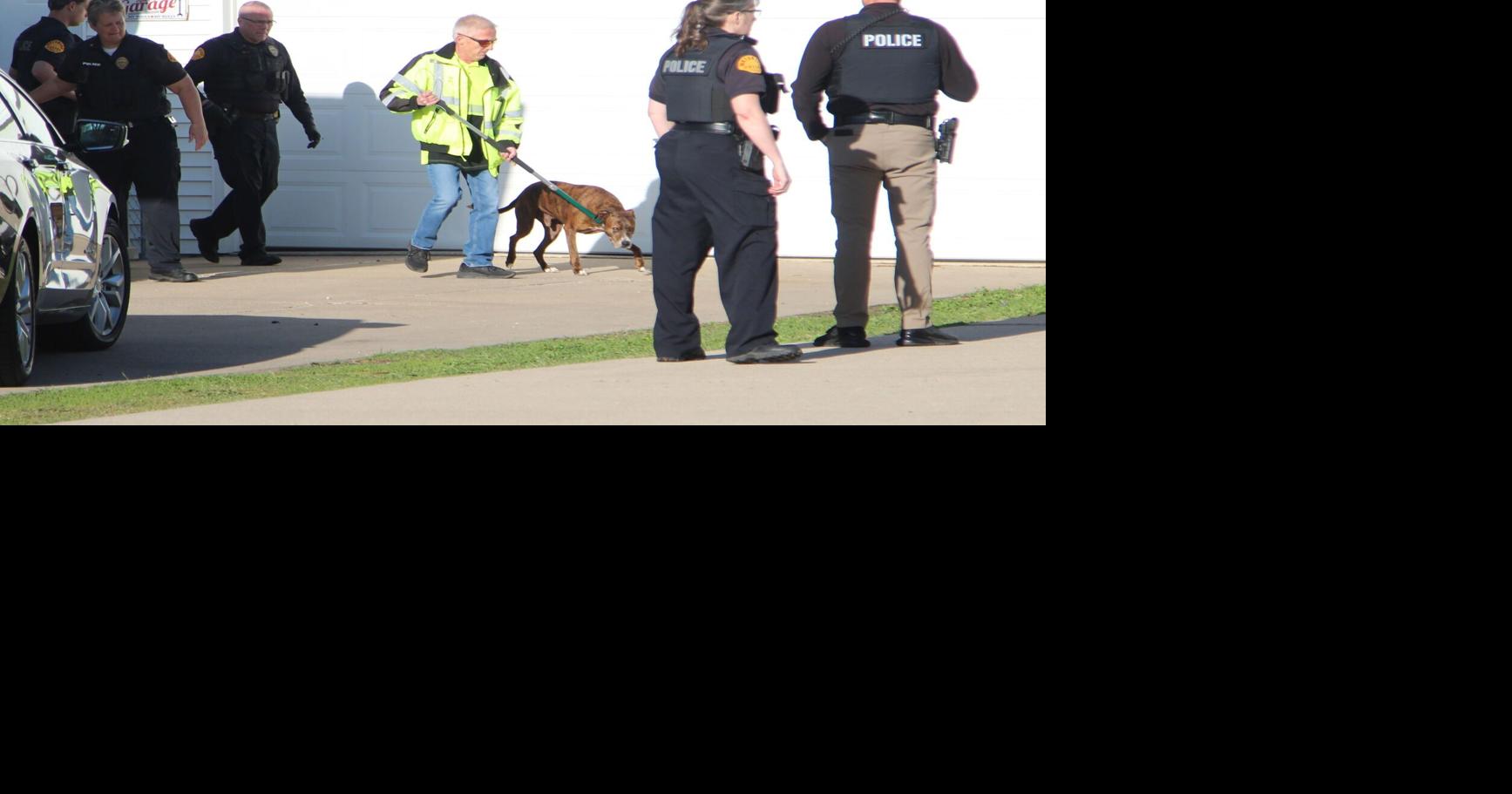 Infant dead, grandmother injured in Waterloo dog attack | News ...