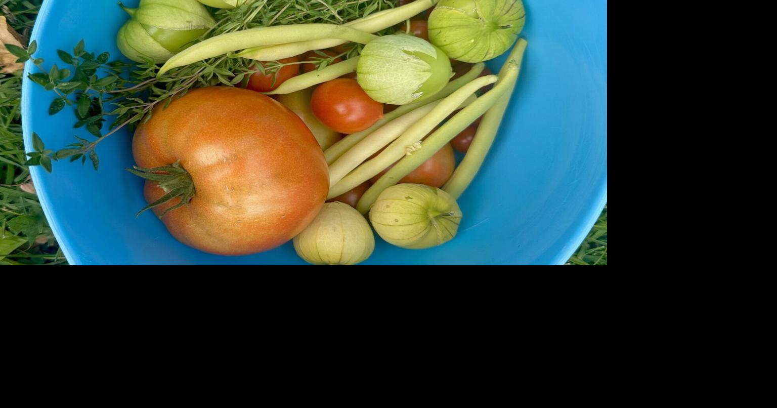 Election a chance for Iowans to reimagine food, farming