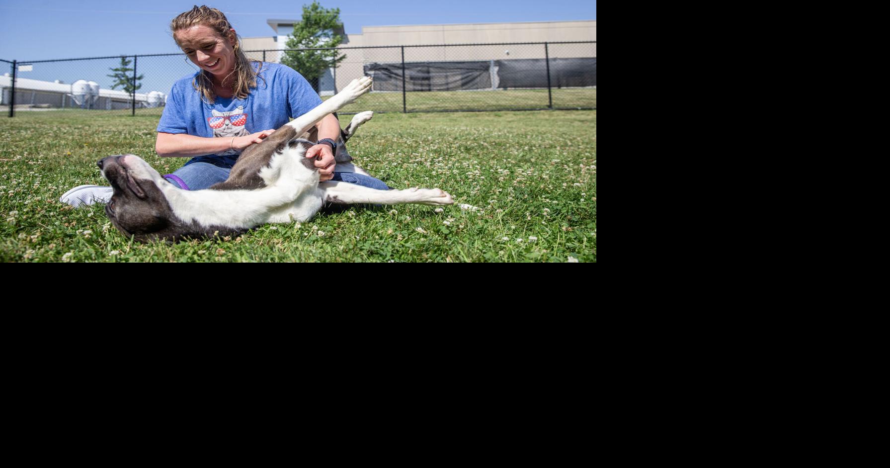 2nd Animal Control employee sues Cedar Rapids