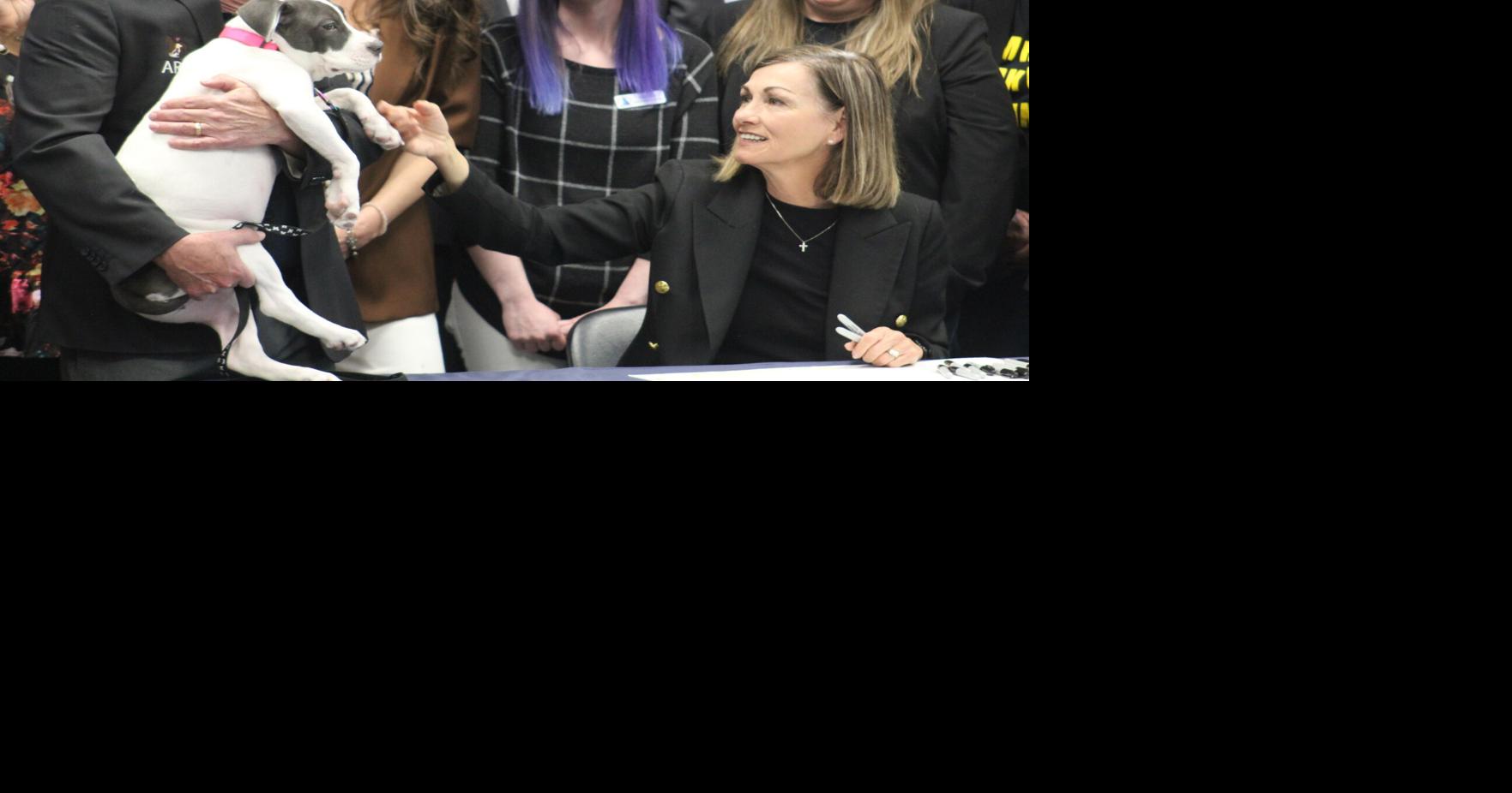 Felony charges for animal torture signed into Iowa law