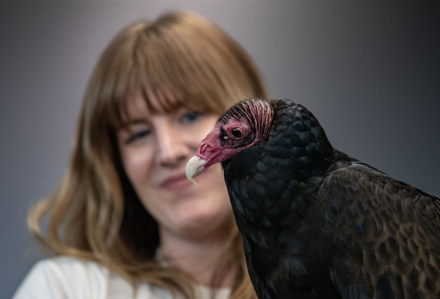 Photo Gallery: Learning about the bird of the Iowa Raptor Project ...