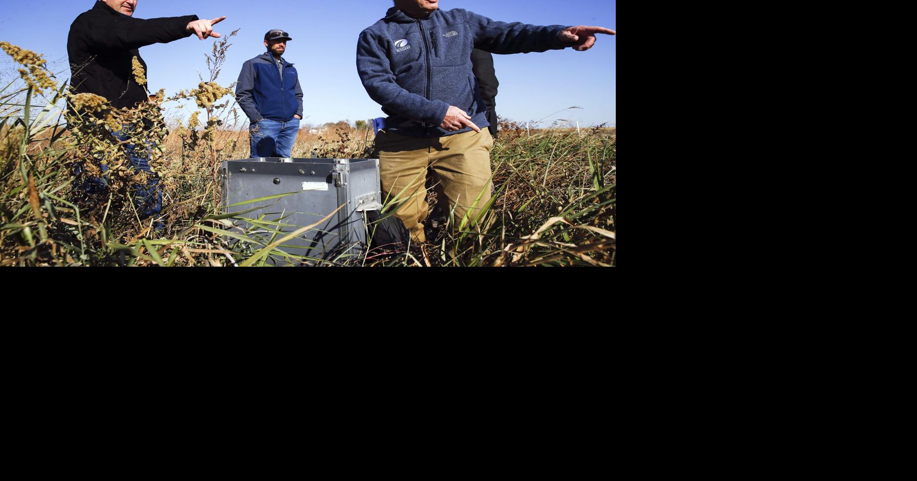 Iowa ag secretary seeks change in conservation land program ...