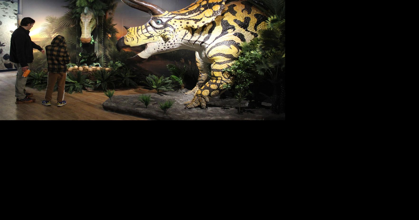 Dinosaur Ridge’s discovery center back with Deep Time Detour | News ...
