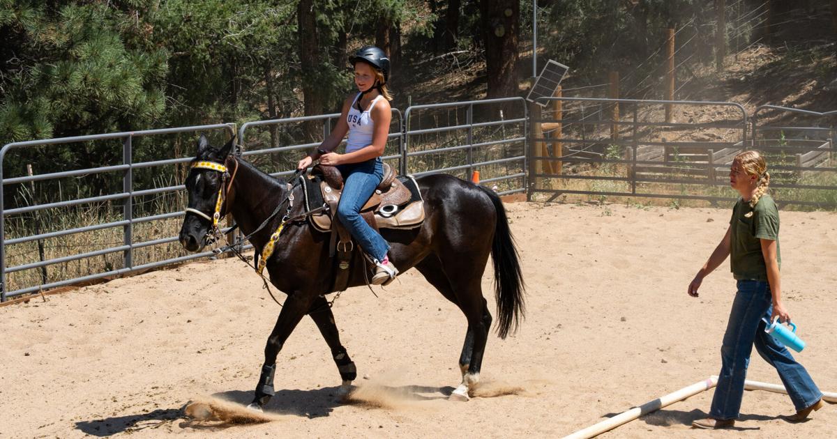 Teen finds success running her own equestrian school | News ...