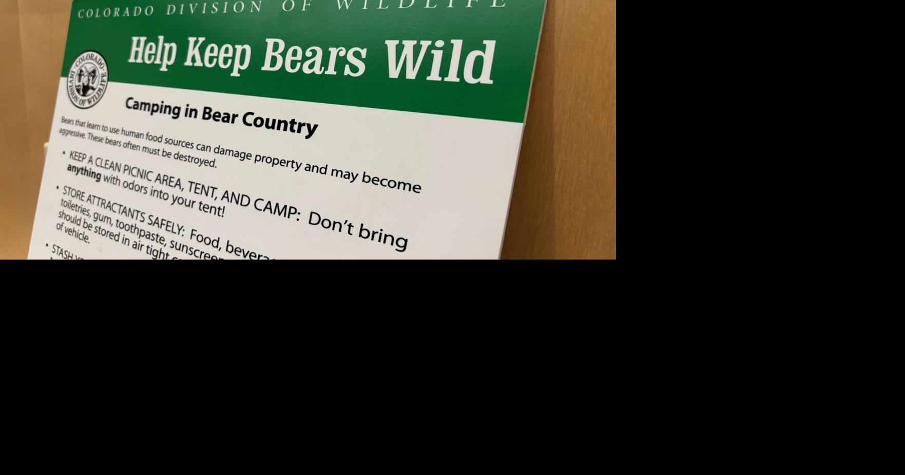 Wildlife officers: Local bear activity will worsen this fall