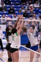 Lady Eagles' season ends in regional tournament loss to Gunter