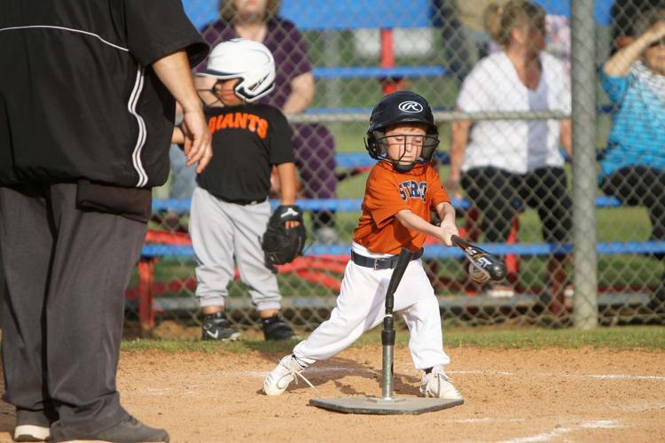 Little League baseball draws crowds to community park