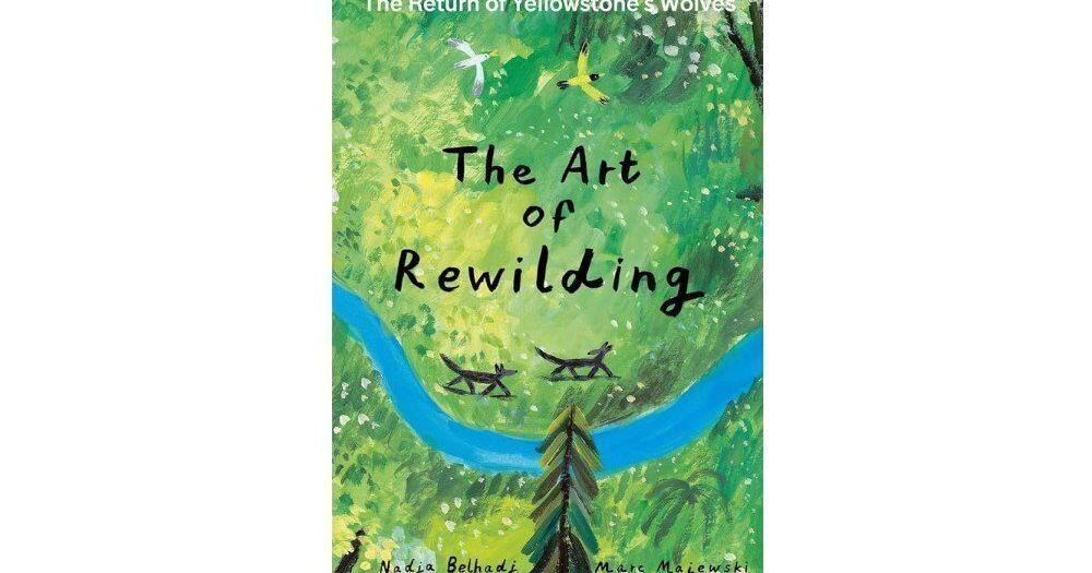 Children's books on nature, dancing, confidence and signing! - Vimarsana News