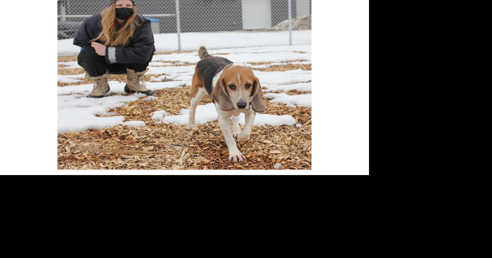 What's going on here now? Guelph Humane Society moved in but donations still needed to fund new