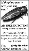 AB TREE - Ad from 2024-05-08