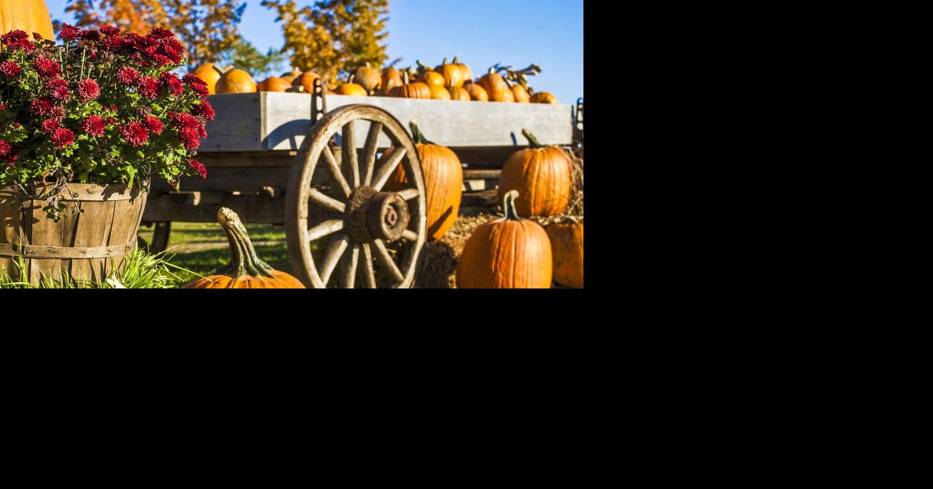 Family fun, farmers markets top list of week's events