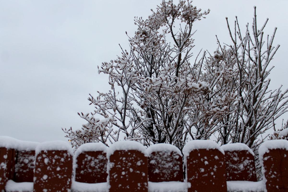 Grand Island Snowfall Totals 3 3 Inches Local News